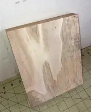 One Piece Hawaiian Spalted Mango ~9" x 6 3/4" x 1 1/8" (#335)