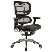 ERGO LOW BACK Executive Chair BLACK MESH