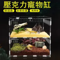 在飛比找蝦皮商城精選優惠-【台灣现货】寵物飼養缸 爬蟲飼養缸 爬蟲 角蛙 蜥蜴 守宮 