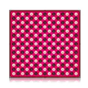 Anti Aging 660nm 850nm Full Body 45w Red Near Infrared Led Therapy Light Panel AU Plug