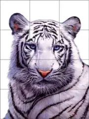 Siberian Tiger Tile Backsplash Jack White Wildlife Art Ceramic Mural JWA021