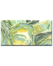 Ready2HangArt Shells Wrapped Canvas Wall Art by Leslie Owens