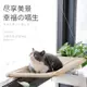 【PetBaby寵物精靈】吸盤式TV貓吊床 承重多貓大吸盤牢固貓咪吊床