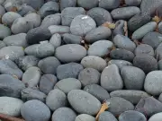 30 Lbs. Mexican Beach Pebbles Smooth Stones Hand Picked Landscape & Garden