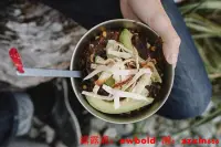 在飛比找露天拍賣優惠-餐具Snow Peak Ti-Plate/Bowl雪峰鈦盤鈦