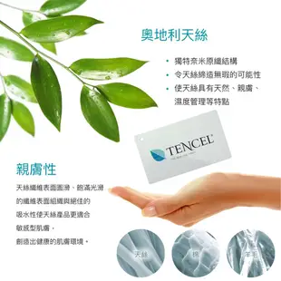 【岱思夢】100%純天絲80支 德雷西 鋪棉床罩組 雙人 加大 特大 TENCEL 天絲 床包 床罩