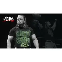 在飛比找蝦皮購物優惠-[美國瘋潮]正版WWE Triple H I Am The 