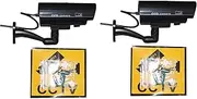 2PCS Simulated Dome Dummy Security Camera Waterproof LED Flashing Light Security Dome Camera Simulated Cameras Outdoor Indoor