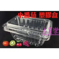 在飛比找蝦皮購物優惠-台灣製 10入 小番茄 塑膠盒 水果 櫻桃 聖女番茄 塑膠餐
