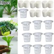Long lasting 20pcs Mesh Pot Net Cup for Plant Growth for Leafy Vegetables