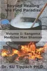 Beyond Healing We Find Paradise: Sangoma Medicine Man Shaman by Stefan Ulrich Dr