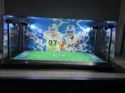 Aidan Hutchinson & Amon Ra St. Brown 2 Mini Helmet display case w/ LED lights