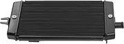 Engine Radiator Fit for Triumph Bonneville T100 Street Cup Scrambler RS 2017-2020 T120 2016-2020 Motorcycle Radiator Cooler Cooling Radiator Grille