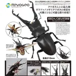 全新正版現貨 海洋堂 REVO GEO VOL.5 長頸鹿鋸鍬形蟲 轉輪科技 松村忍造型總指揮