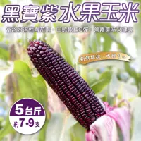 在飛比找momo購物網優惠-【WANG 蔬果】黑寶紫水果玉米5斤x1箱(農民直配)