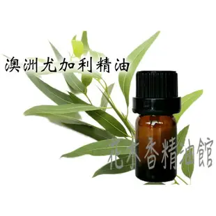 花木香精油館-澳洲 尤加利精油 / 尤加利 精油 10ml 、30ml、 50ml、 100ml