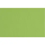 Fabriano Elle Erre 220gsm A4 Paper Pea Green