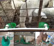 Automatic Drinker Water Dispenser For Sheep Goat Pig Piglet Cattle Livestock