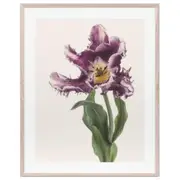 Blume 2 Print, Raw