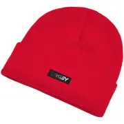 Oakley B1B Gradient Patch Beanie 2022