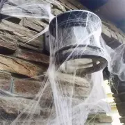 Spider- Web Halloween Decorations,Stretch Spider Webbing With 6 Fake Spider New
