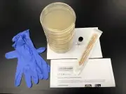 SAB Lab Support Science Project Kit: 10 poured microbial growth media plates