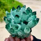 389G New Find green PhantomQuartz Crystal Cluster MineralSpecimen 708
