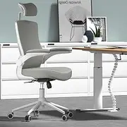 , Ergonomic Mesh Desk Chair, High Back Computer Chair- Adjustable Headrest with Flip-Up Arms, Lumbar Support, Swivel Executive Task Chair (Modern, Star Dust)