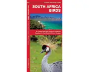 South Africa Birds