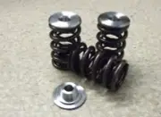 Suit Peugeot 504 Ti 2Lt XN1 & XN2 Performance upgradeValve Springs.