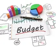 Biweekly Excel Budget. 5 Year Plan Electronic Delivery