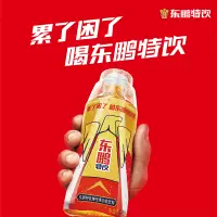 在飛比找淘寶網優惠-東鵬特飲維生素功能飲料500ml*24大瓶整箱熬夜健身飲品提