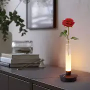 Minimalist Glass Vase Lamp LED Modern Table Light Decorative Home Accent