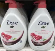 2 Pcs Dove Revive Pomegranate X Lemon Verbena Go Fresh Body Wash 33.8 FL OZ Each