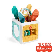 在飛比找蝦皮商城優惠-Fisher-Price 費雪 趣味活動方塊