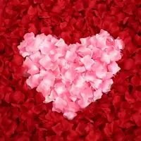 在飛比找momo購物網優惠-浪漫告白仿真玫瑰花瓣10包(氣球 派對 佈置 告白 情人節 