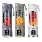Portable 450ml Mini Blender with 12 Steel Blades for Travel and For picnics