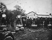 Nowa Nowa Victoria 1905 - Four competitors on blocks for a wood ch- Old Photo