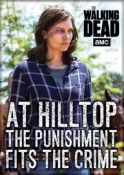 The Walking Dead Maggie Punishment Fits The Crime Photo Refrigerator Magnet NEW