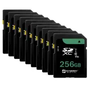 Synergy Digital 256GB, SDXC UHS-I Memory Cards - Class 10, U3 - Pack of 10