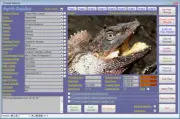 Reptile Collector Image Database Software CDROM suit Windows 7/8/10/11 XP Vista