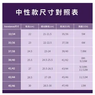 Havaianas 哈瓦仕 拖鞋 男女鞋 迪士尼100週年紀念 米奇 米妮 唐老鴨 灰 4148618-5178U