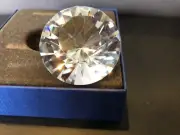 Swarovski SCS Collector Piece #1096758