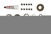 Differential Rebuild Kit-FSGR DANA Spicer 2017371