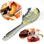 Stainless Steel Spoon Grater Lemon Zester Ginger Grater Garlic Grinding Spoon