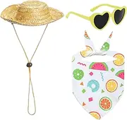 Porch Geese Clothing - Porch Animal Outfits | Cement Figure Cute Sunglasses Straw Hat For Beach Holiday Style Wedding Poolside Courtyard
