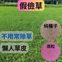 在飛比找iOPEN Mall優惠-[純種子×快速出貨] 蜈蚣草 種子 假儉草 1公斤 草皮 草