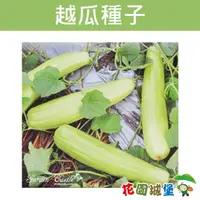 在飛比找蝦皮購物優惠-現貨 越瓜~Pickling Melon~種子-約15粒【花