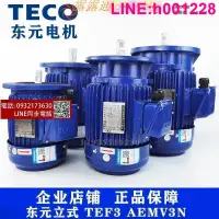 在飛比找露天拍賣優惠-TECO東元電機馬達AEMV3N 0.75KW 1.5KW 