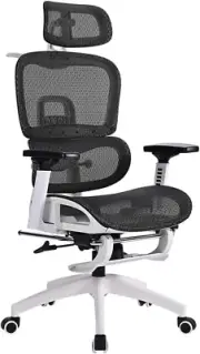 Ergonomic Office Chair with Breathable Mesh, Adjustable Headrest and Lumbar Supp